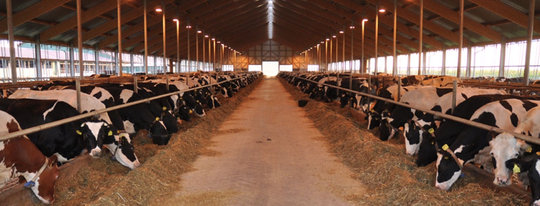 Модерното селско стопанство зависи